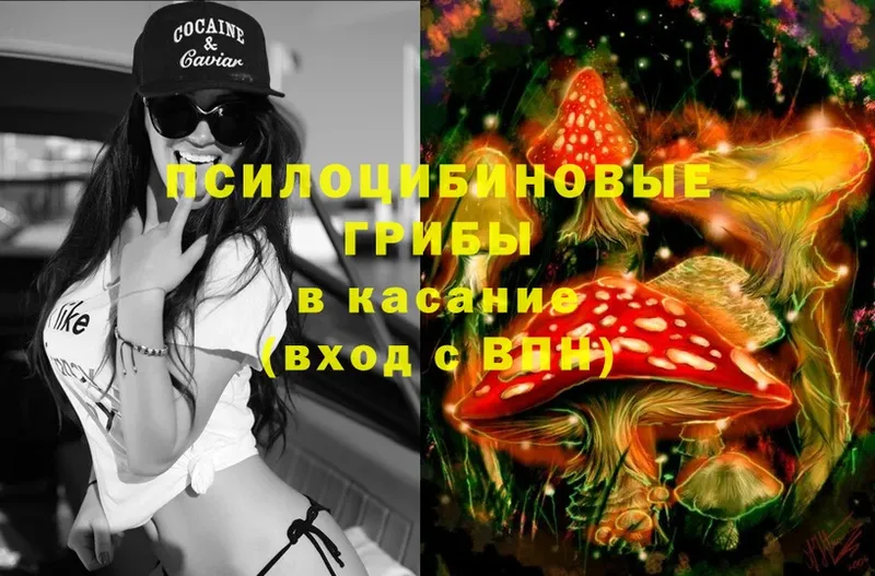 ссылка на мегу ссылки  Балей  Псилоцибиновые грибы Psilocybe 